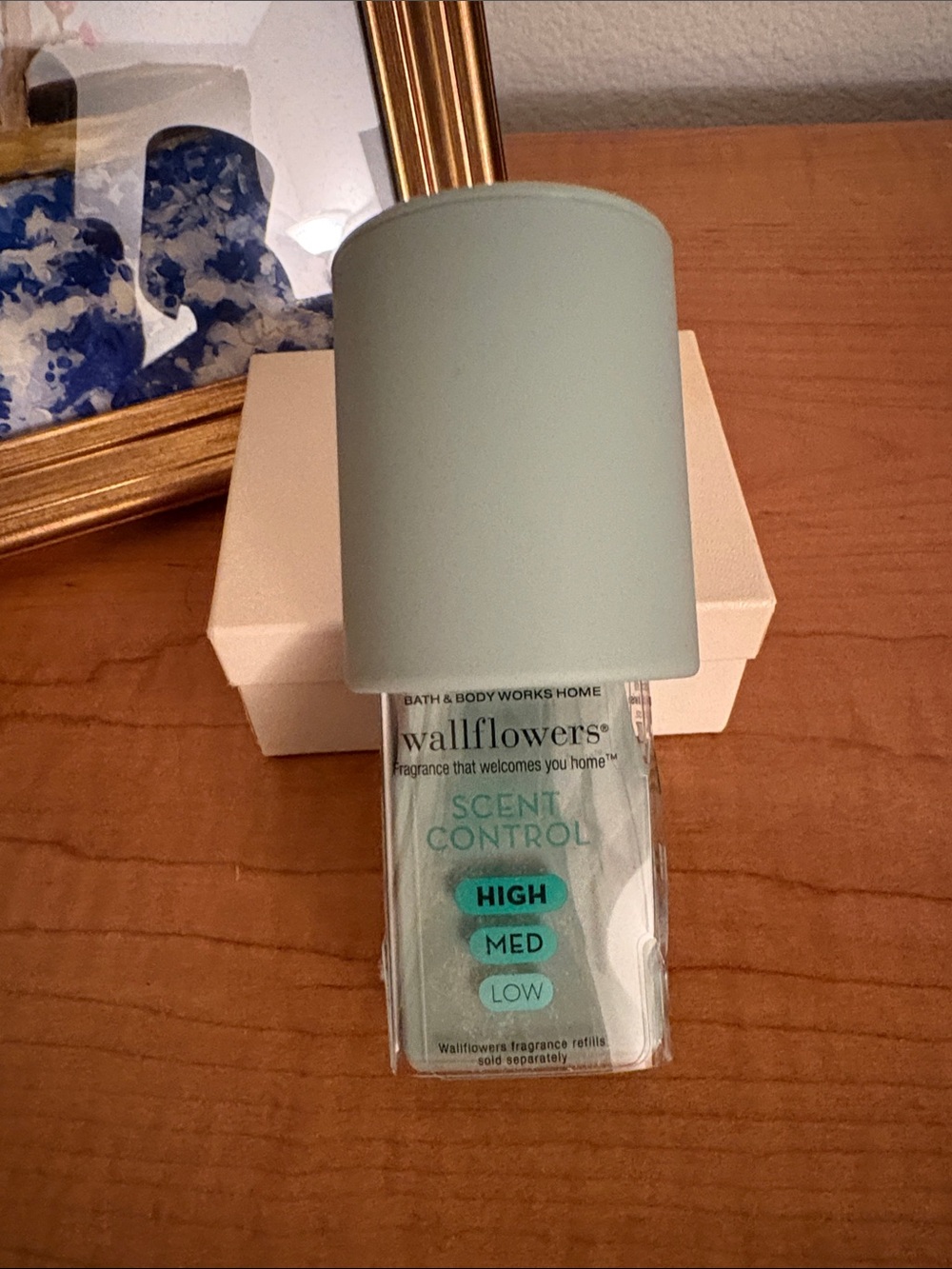 Bath & Body Works Sage Scent Control Wallflower Plug